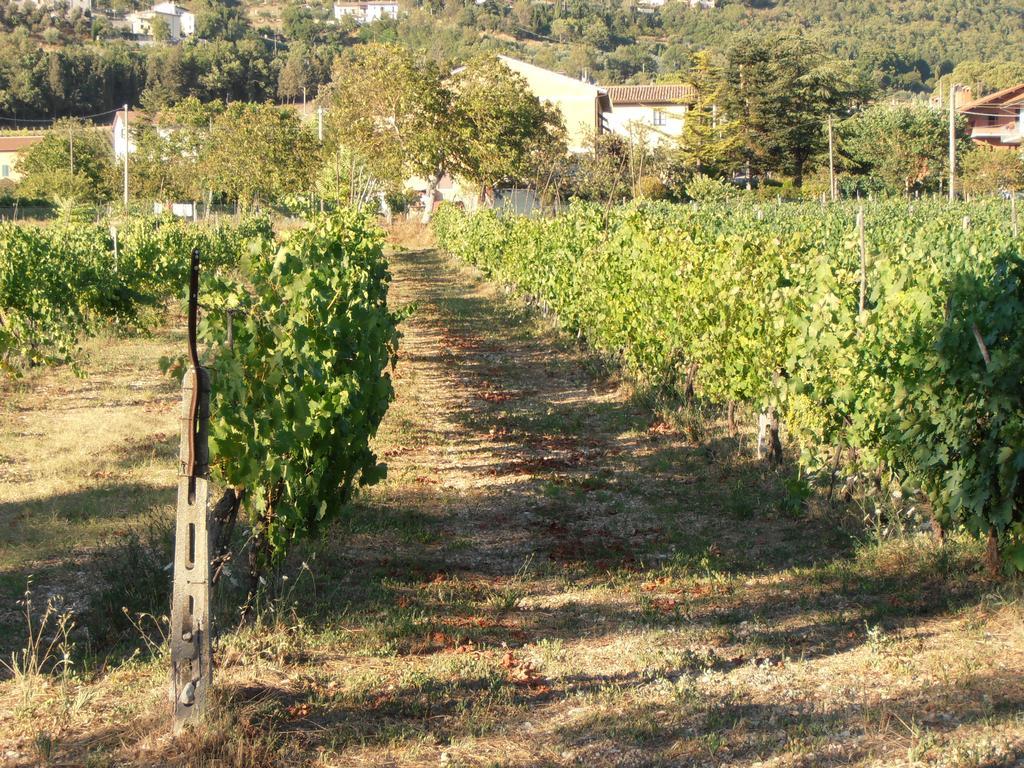 Agriturismo Ponte Di Riocchio Gubbio Dış mekan fotoğraf